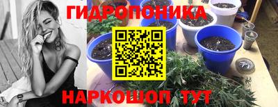 a pvp Моздок