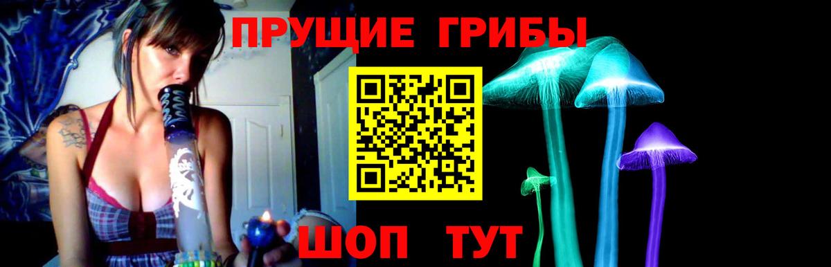 Галлюциногенные грибы MAGIC MUSHROOMS  Вход с VPN  Галлюциногенные грибы Cubensis  хочу наркоту  Североморск 